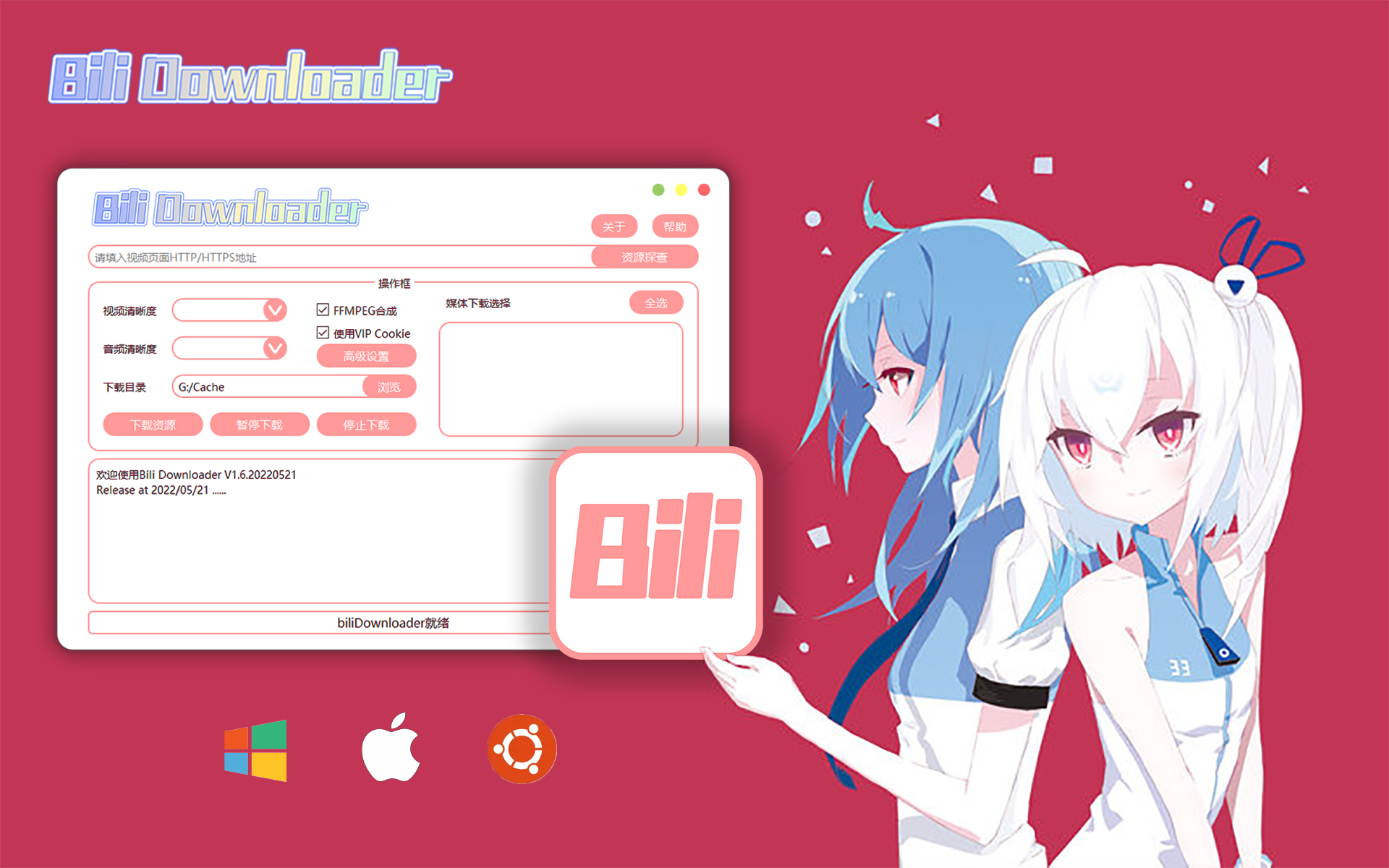 【教程】BiliDownloader新版交互视频下载教程